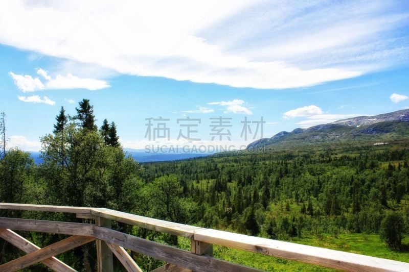 瑞典,红结矶鹞,自然,加姆特兰,水平画幅,绿色,山,无人,蓝色,夏天