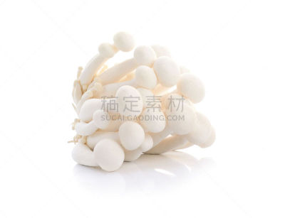 姬菇,分离着色,白色背景,自然,真菌,水平画幅,无人,清新,美味,蔬菜
