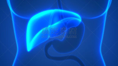 肝脏,肝肿瘤,胆囊,肝炎,炎症,不卫生的,生物医学插图