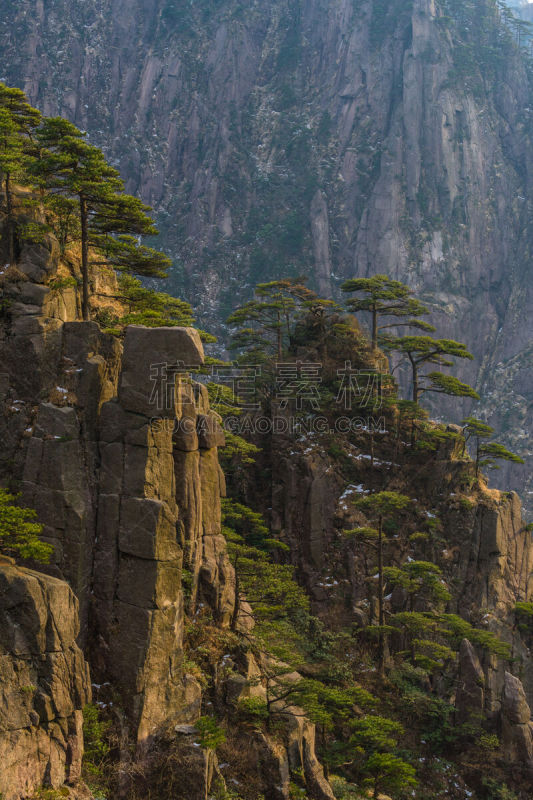 黄山山脉,安徽省,松树,中国,地形,桨叉架船,一只动物,中国东部,旅游