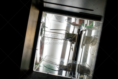 抓玩具游戏,拱廊,建筑施工机器,艺术,水平画幅,建筑业,运动,休闲游戏,乐趣,爪