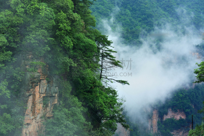 雨,雾,山顶,二进制码,武陵源,拼块地形,张家界,湖南省,天空,水平画幅