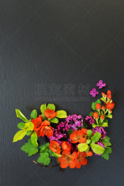 黑色背景,皱皮木瓜,排列整齐,自然,垂直画幅,边框,尖的,无人,正上方视角,荆棘