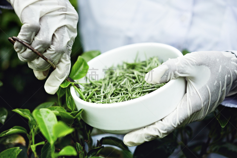 白茶,努沃勒埃利耶,中医,中国茶,茶叶,纹理效果,干花,干的,仅成年人,农作物