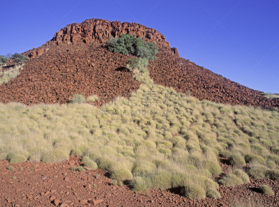 三齿稃,the pilbara,灌木丛,西澳大利亚,水平画幅,无人,风景,户外,沙漠