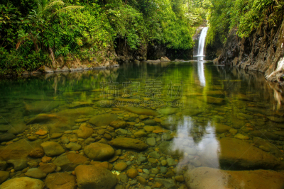 taveuni,斐济,瀑布,瓦努阿岛岛,水,水平画幅,旅行者,海岸地形,户外,自然公园