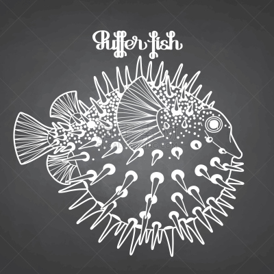 河豚,插画,府谷,刺河豚,海胆,刺猬,球体,菜单,线条,美术工艺