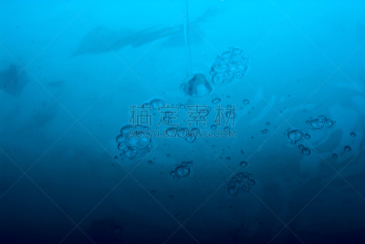 背景聚焦,水彩画颜料,电鳐,水母,未来,艺术,水平画幅,形状,无人,科学