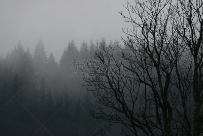 澳大利亚阿尔卑士山脉,天空,水平画幅,云,夜晚,雪,阴影,戏剧性的天空,光,巴伐利亚