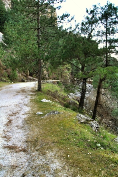 小路,冬天,绿色,地形,山,植物群,在之间,山脊,清新,风