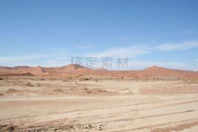 纳米布沙漠,苏丝斯黎,非洲,纳米比亚,沙丘,天空,沙子,干的,明亮,秃树