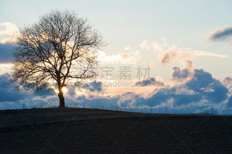 山,胡桃树,禅宗,留白,停泊的,旷野,摩尔人风格,度假胜地,草原,水平画幅