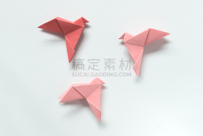 折纸工艺,鸟类,自由,创造力,概念,粉色,光,树荫,背景,反差