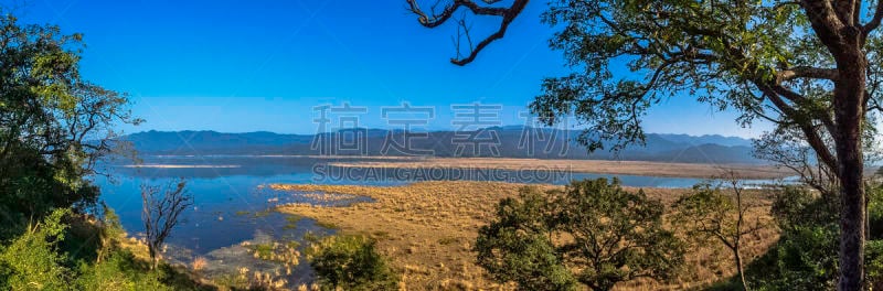 河流,印度,全景,科汐湾,环境,草,著名景点,湖,植物,岩石