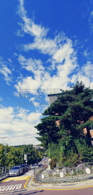 自然美,环境,色彩鲜艳,韩国,植物,夏天,户外,汉城省,首尔,自然