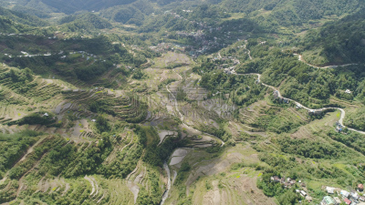 稻,梯田,菲律宾,山,巴拿威,农业,稻田,吕宋岛,农场,植物