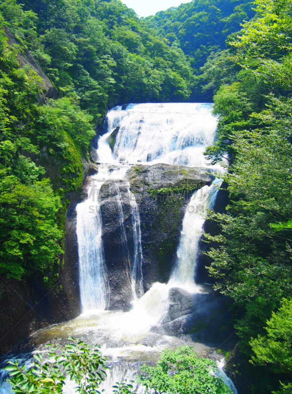 日本,夫库拉达瀑布,垂直画幅,水,里山,悬崖,绿色,地形,岩石,瀑布