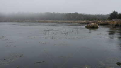 加利福尼亚,自然,美国,罗博斯角州立保护区,卡麦尔,州,野生动物保护区,野生动物,环境,草
