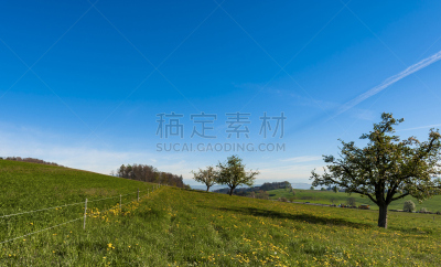 草地,地形,瑞士,水平画幅,云,山,无人,早晨,草坪,户外