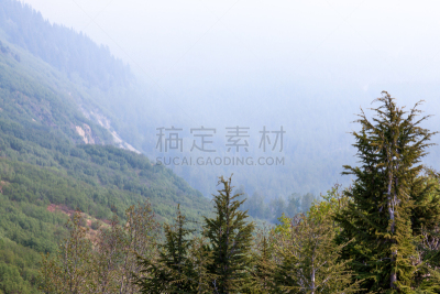 雾,山脉,暴风雨,水平画幅,枝繁叶茂,无人,湿,户外,戏剧性的天空,基耐