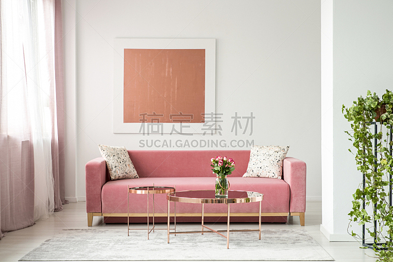 沙发,白色,铜,桌子,公寓,室内,粉色,枕头,花,作画