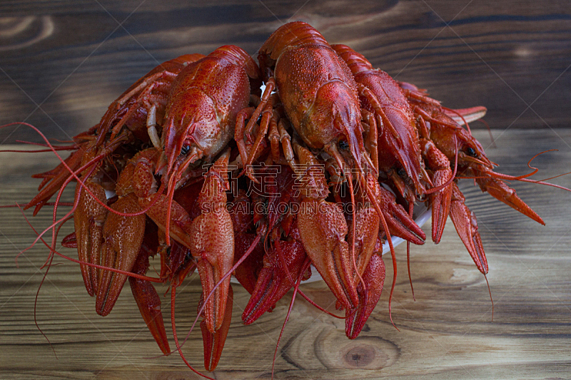 木制,螯虾,盘子,背景,红色,煮食,水平画幅,龙虾,静物,海产