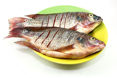 罗非鱼,自然,水平画幅,生食,清新,河流,户外,食品,肉,盘子