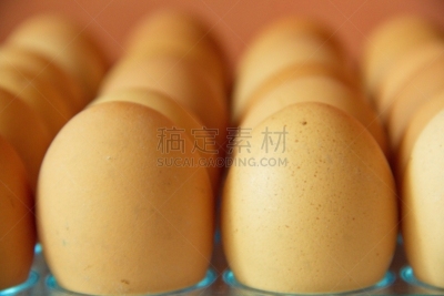 特写,蛋,大量物体,点缀蝴蝶鱼,沸腾的,褐色,早餐,水平画幅,鸡蛋,家禽