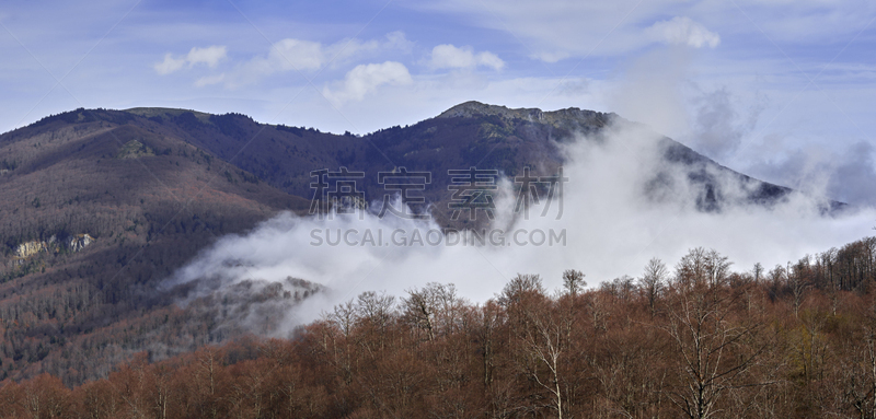 山,灵性,尤利西斯蝶,褐色背景,热带雨林,北马其顿共和国,马其顿地区,天空,褐色,水平画幅