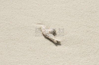 阿里环礁,海滩,马尔代夫,珊瑚,荒岛,分离着色,脚印,热带气候,印度洋,海岸线