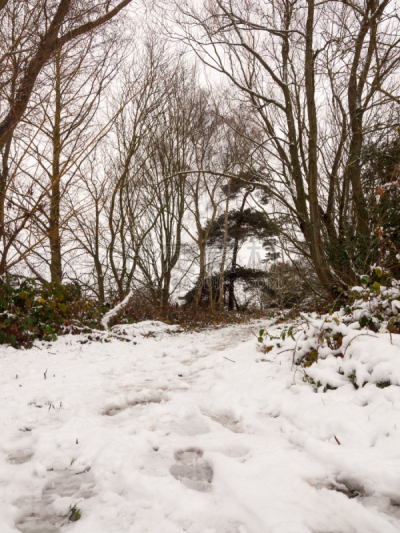 雪,小路,森林,冬天,室内地面,垂直画幅,天空,休闲活动,平视角,风景