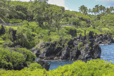 火山岩,夏威夷,毛伊岛,海岸线,哈纳,路,水,公园,水平画幅