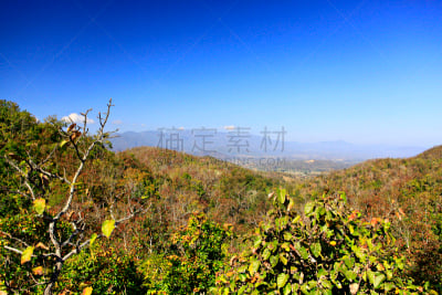 气候,国内著名景点,厚的,野生动物,泰国,著名景点,落叶树,2015年,夏天,户外