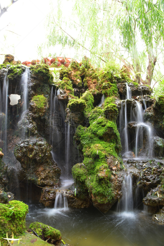 瀑布,植物园,人造的,垂直画幅,纯净,热带雨林,旅行者,夏天,户外,流动