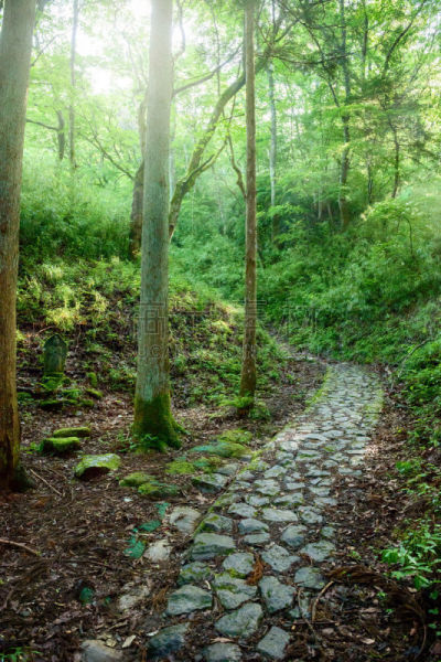 山口,街道,地藏菩萨,铺路石,垂直画幅,里山,度假胜地,休闲活动,枝繁叶茂,夏天