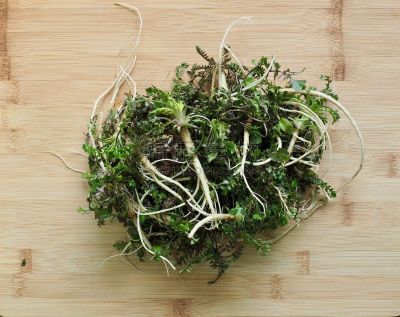 成分,韩国食物,细香葱,蔬菜,清新,中文,香料,饮食产业,野葱,食品