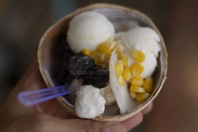 椰汁,幼小动物,表意文字,意大利冰淇淋,冰淇淋,水平画幅,素食,无人,食物的样式,椰子树