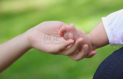 足,婴儿,母亲,拿着,举起手,圣伯纳犬,小的,多代家庭,水平画幅,可爱的