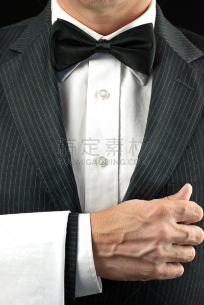 男招待,美味,垂直画幅,休闲活动,无尾礼服,餐饮服务职业,黑色,侍者总管,高级西餐,服务