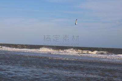 希尔顿赫德,南卡罗来那,水,天空,美国,水平画幅,沙子,无人,大西洋,户外