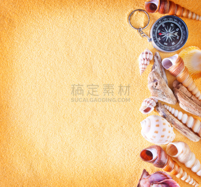 夏天,背景,硅石,坎昆,鹦鹉螺,褐色,边框,水平画幅,沙子,贝壳