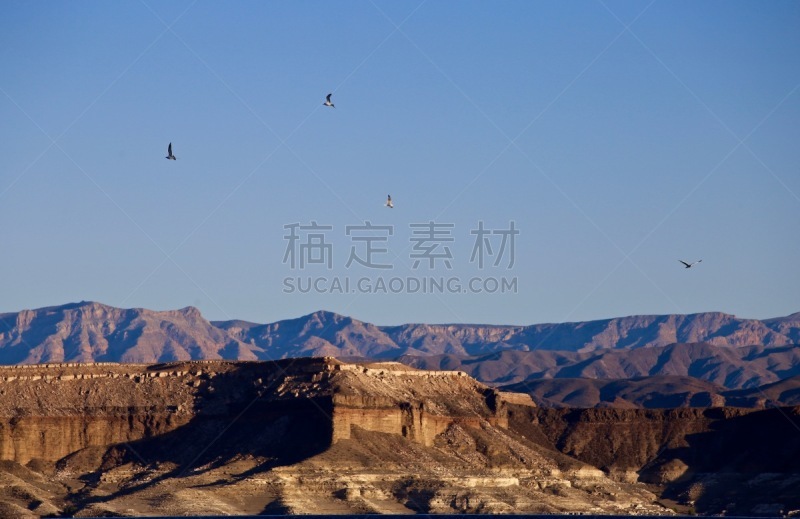 风景,高原,美国,水平画幅,无人,鸟类,岩层,户外,非凡的,山脉