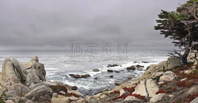 天空,太平洋,海岸线,黑色,lone cypress tree,岩石海岸线,灰色,水平画幅,地形,无人