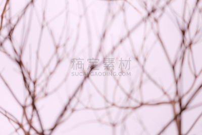 枝,抽象,背景,运动模糊,灵感,水平画幅,纹理效果,形状,阴影