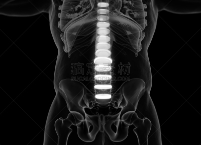 脊柱,三维图形,disk,插画,脊骨神经科矫正,人类骨架,神经系统,水平画幅,人,健康保健