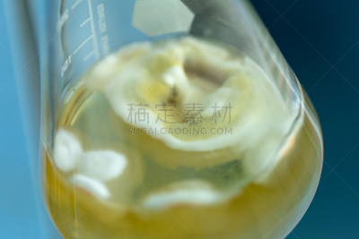 实验室,真菌,烧瓶,显微镜,生物科技,水平画幅,孢子,微生物学,科学实验,科学