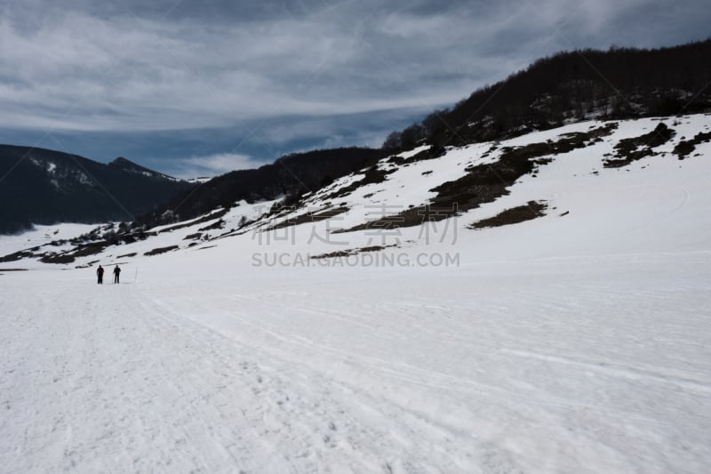 野生动物保护区,比斯卡拉,拉奎拉,雪鞋,北极,两极气候,美,水平画幅,导游,雪