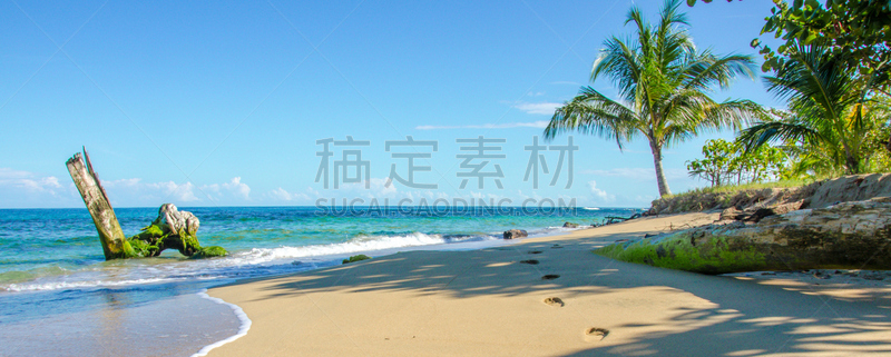 港桥,哥斯达黎加,海滩,曼萨尼约,里蒙省,加勒比海地区,热带音乐,枝繁叶茂,沙子,古老的