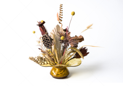 干花,水平画幅,无人,古老的,花序,白色背景,干的,背景分离,矮小植株