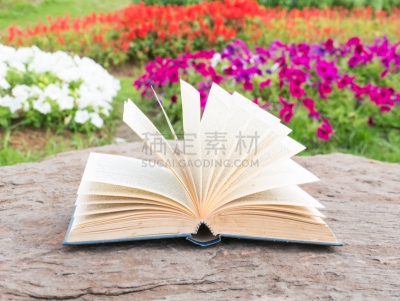 书,摇滚手势,运动模糊,40-80年代风格复兴,creeping bluet,褐色,水平画幅,文学,无人,古老的
